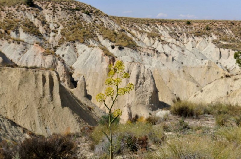 The Barrancos de Gebas; Sierra Espuña