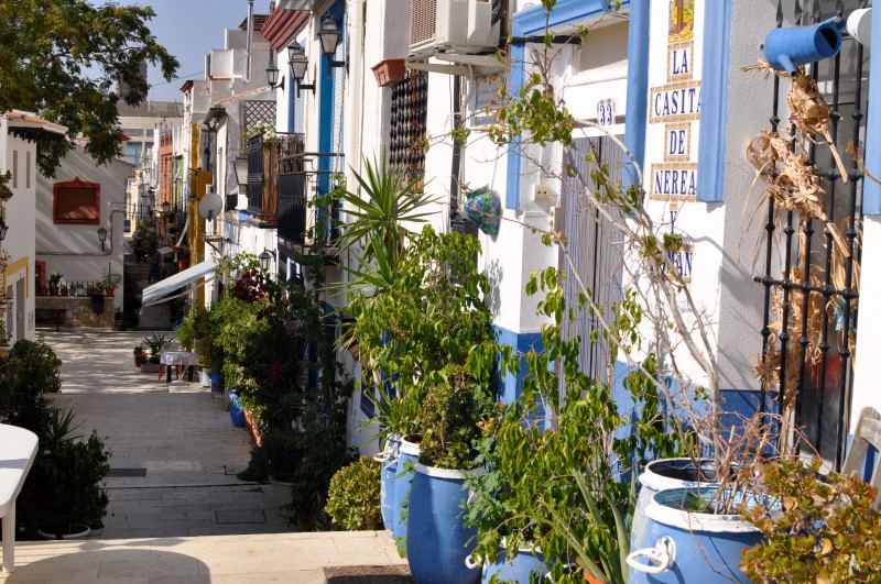 Morning out in Alicante route 2: El Parque de La Ereta and El Barrio de Santa Cruz