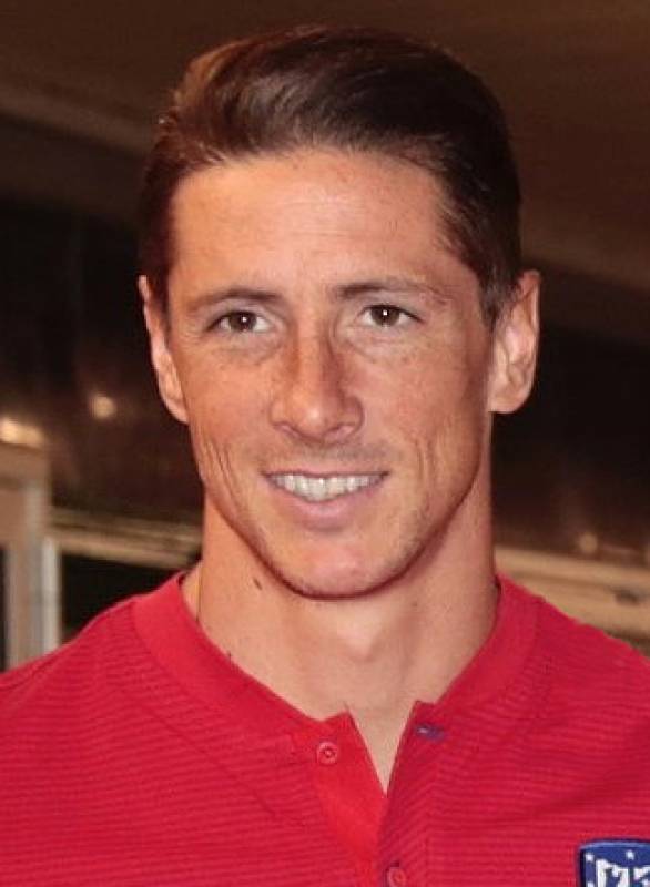 Former Liverpool striker Fernando Torres sues Spanish government