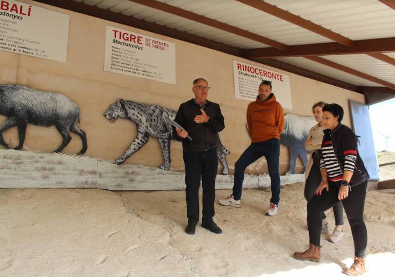 7-million-year-old giant cockroach footprints in Jumilla are the only ones of their kind in the world