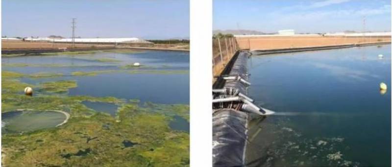 Revolutionary fertiliser could completely eliminate farm pollution in the Mar Menor