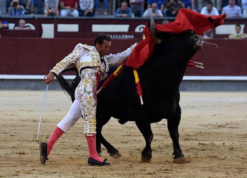 Spain abolishes National Bullfighting Award amid animal welfare concerns