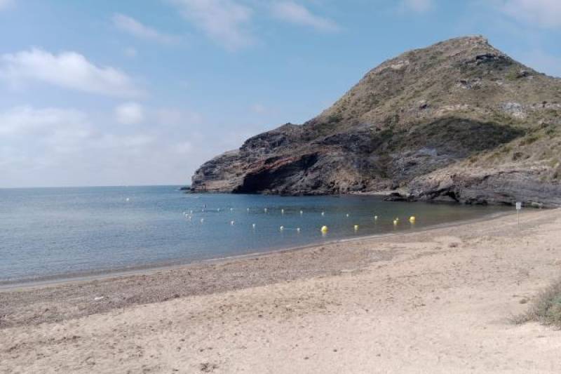 Cala Reona beach reopens