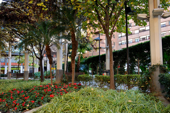 Plaza de Santa Isabel Murcia