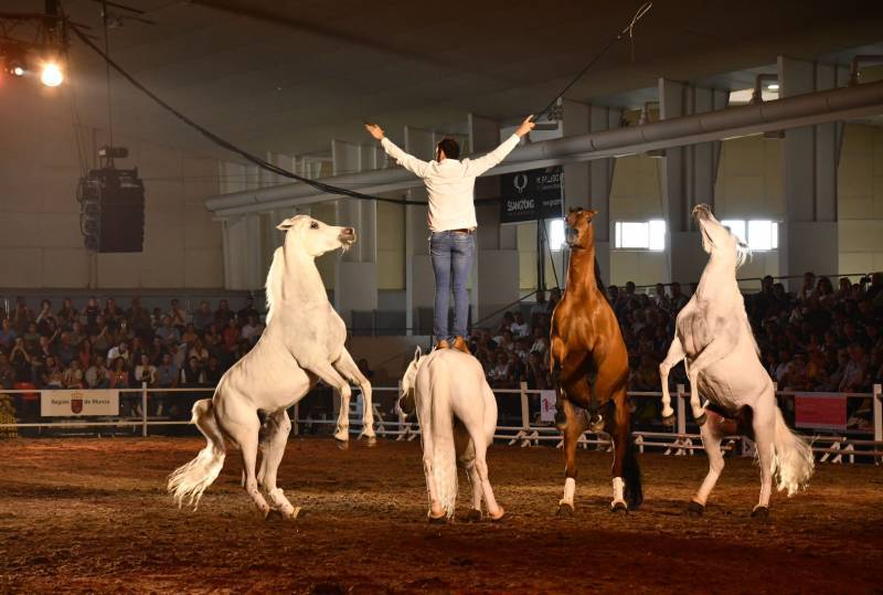 Win free tickets to the Equimur horse show in Torre Pacheco!!