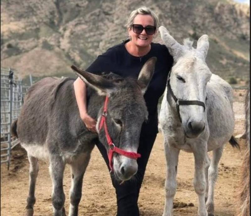 Help hooves and heal hearts... volunteer with rescued donkeys in Murcia