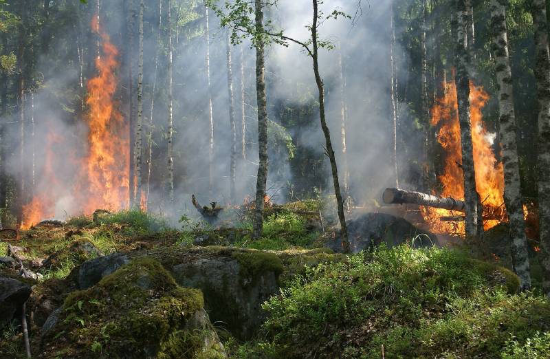 Twelve wildfires break out in a single day as Spain's summer blaze crisis deepens