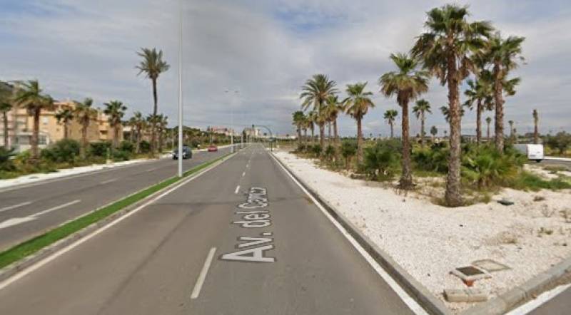 Gardens on Cartagena's Avenida del Cantón get a fresh new look ahead of festival season