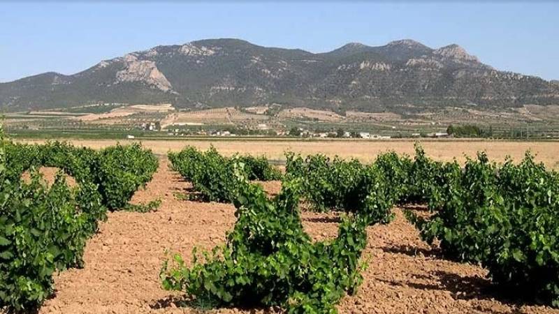 Step into September: Five scenic Murcia hikes to try this month