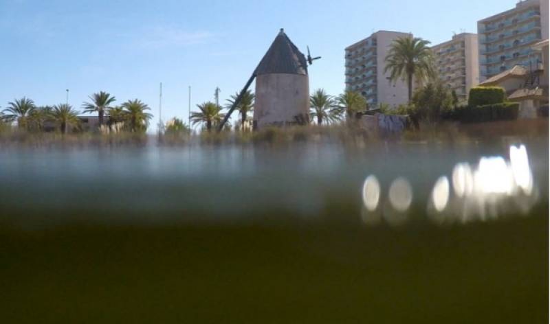 The silent threat pushing the Mar Menor towards collapse
