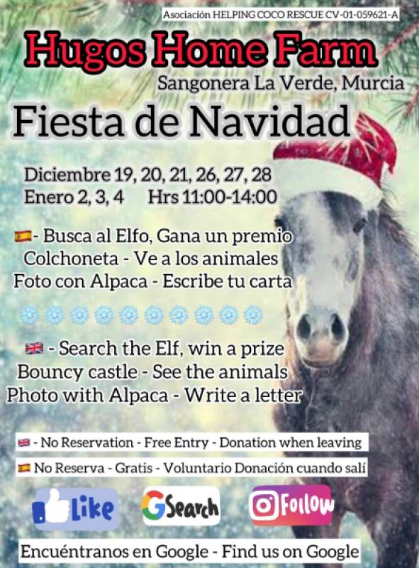 Hugo's Home Farm hosts festive Christmas party to raise funds for animal rescue