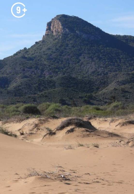 January 18 Free guided walk in the Regional Park of Calblanque