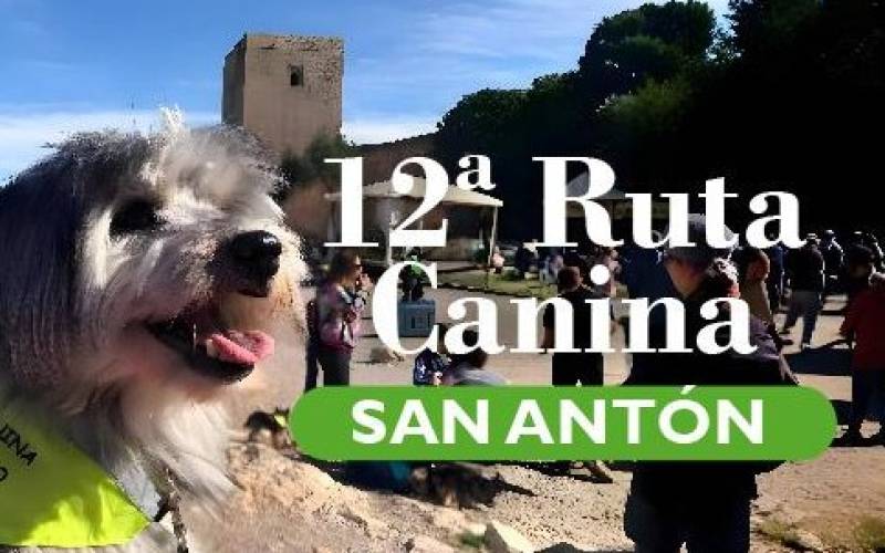 January 18 Charity dog walk to Lorca Castle