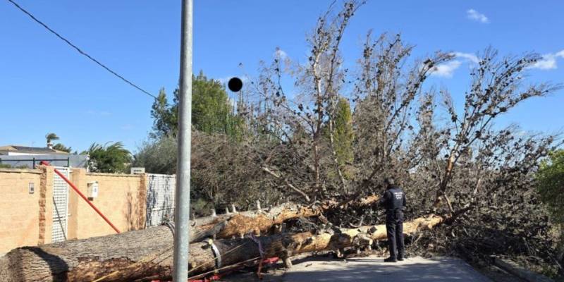 IN PHOTOS: Winds continue to cause destruction across the Region of Murcia as speeds top 100kmh