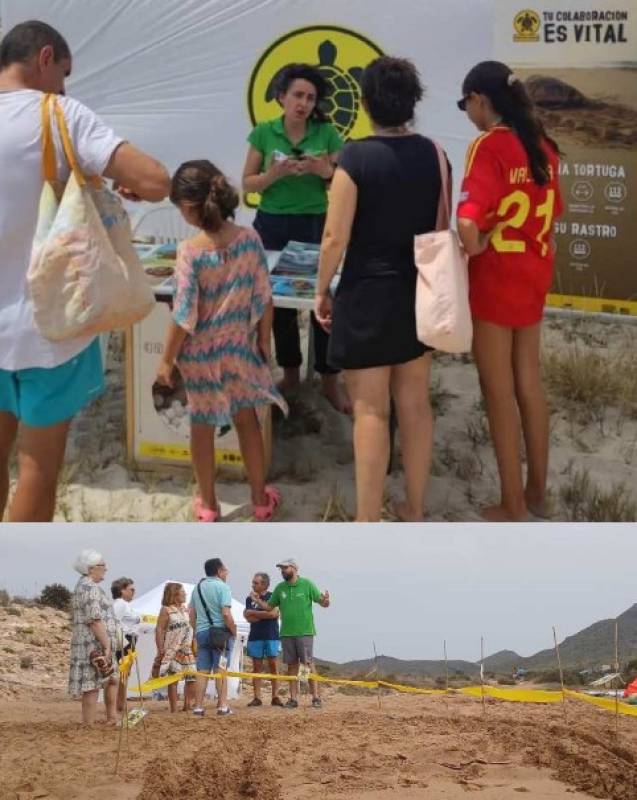June 14 Turtle awareness morning in Cabo de Palos!