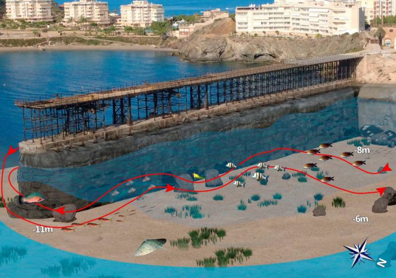 Dive beneath Águilas' iconic Hornillo Pier and discover a hidden underwater world