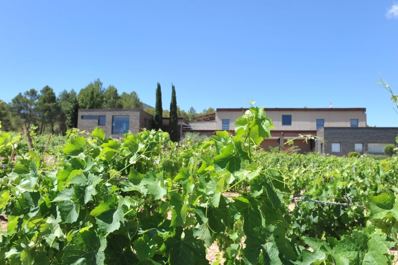 Bullas Wine Route: Bodegas Lavia